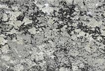 Delicatus White