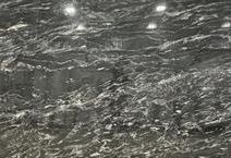 Silver Wave